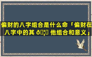 偏财的八字组合是什么命「偏财在八字中的其 🦋 他组合和意义」